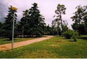 Parque Cruz Conde.jpg