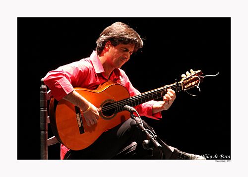 Guitarrista Nino de Pura.jpg