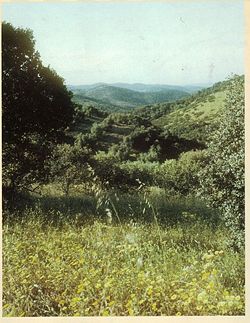 Hornachuelos.jpg