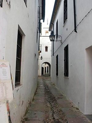 CallejadelaHoguera02.jpg